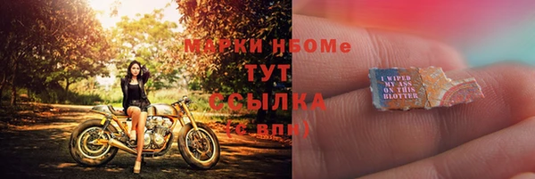 индика Бронницы